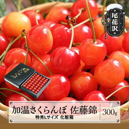 【ふるさと納税】先行予約 加温 さくらんぼ 佐藤錦 特秀Lサイズ 300g 5月上旬~下旬頃発送 プレゼント ギフト 化粧箱鏡詰め 2026年産 令和8年産 山形県産 ハウス ハウス栽培 送料無料 サクランボ※沖縄・離島への配送不可