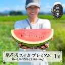 先行予約 尾花沢スイカ 7月下旬～8月中旬頃発送 大玉 4～5Lサイズ 約9～10kg 1玉 プレミアム プレゼント ギフト 令和6年産 2024年産 農産センター UNAU すいか 西瓜※沖縄・離島への配送不可