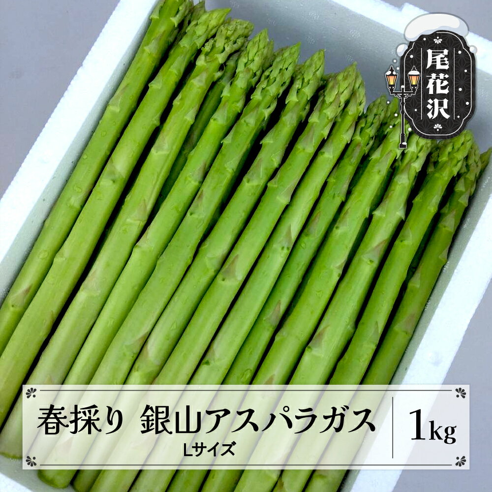 【ふるさと納税】春採り 銀山アスパラガス Lサイズ 1kg 令和7年産 2025年産 グリーンアスパラガス 春 野菜 青果 山形県 nk-vga1x1※離島への配送不可
