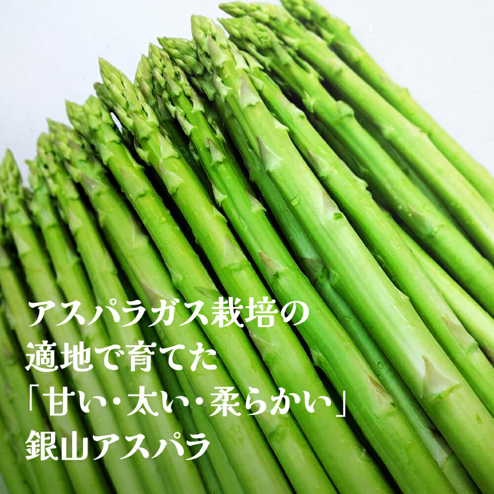 【ふるさと納税】夏採り 銀山アスパラガス Lサイズ 2kg 7月上旬~順次発送 2025年産 令和7年産 グリーンアスパラ 山形県尾花沢市産 nk-vga1n2離島への配送不可