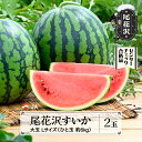 29位! 口コミ数「17件」評価「4.53」先行予約 尾花沢すいか 大玉 Lサイズ 約6kg×2玉 7月下旬～8月10日頃発送 2024年産 令和6年産 スイカ 西瓜 送料無料 着日指･･･ 