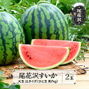 先行予約 尾花沢すいか 大玉 2Lサイズ 約7kg×2玉 7月下旬～8月10日頃発送 2024年産 令和6年産 スイカ 西瓜 送料無料 着日指定不可 JA※沖縄・離島への配送不可