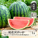 【ふるさと納税】先行予約 尾花沢すいか 大玉 スーパー6Lサイズ (約12～18kg)×1玉 8月1日～8月10日頃発送 2024年産 令和6年産 スイカ 西瓜 送料無料 着日指定不可 JA※沖縄・離島への配送不可 その1