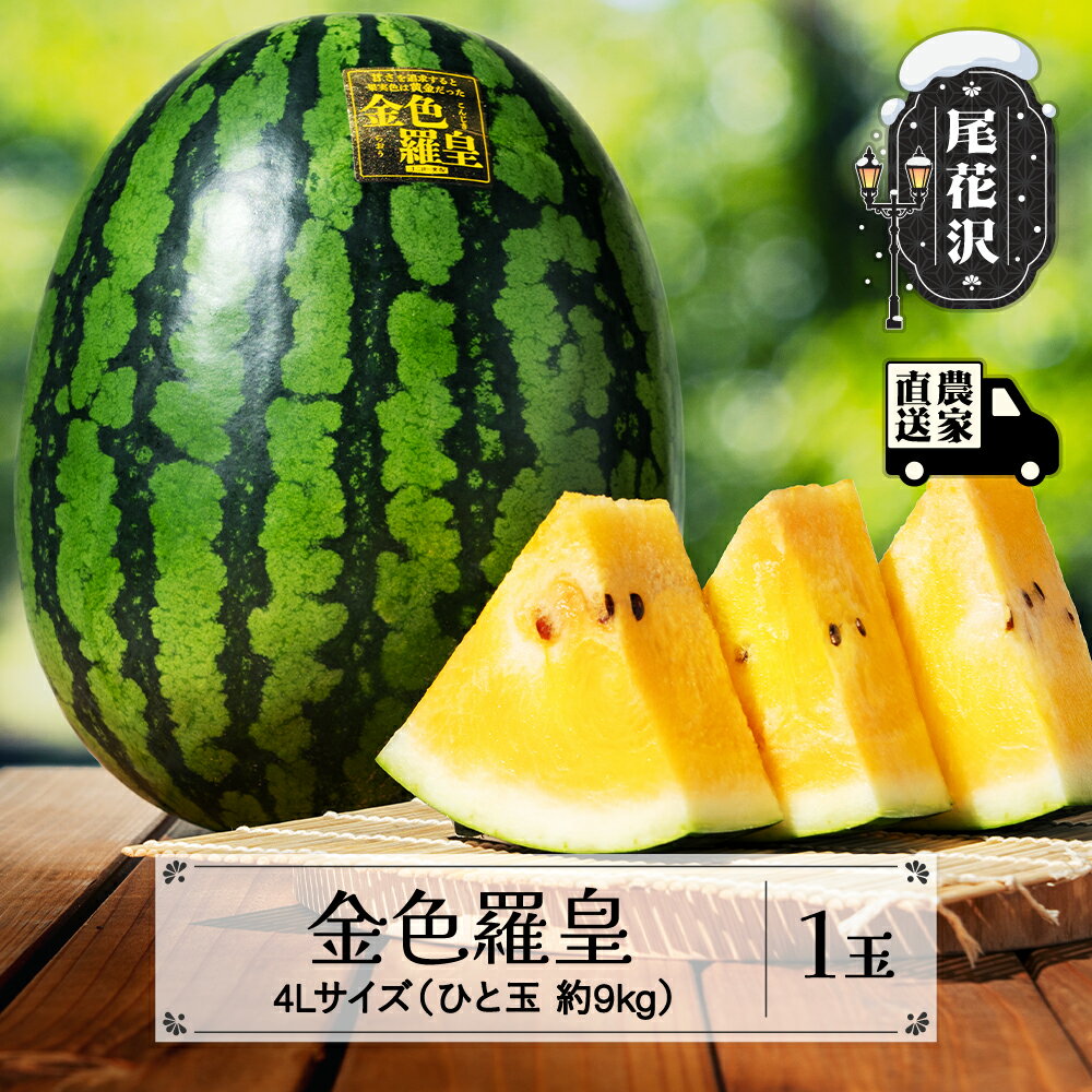 【ふるさと納税】先行予約 尾花沢産スイカ 金色羅皇 4Lサイズ 約9kg×1玉 令和7年産 2025