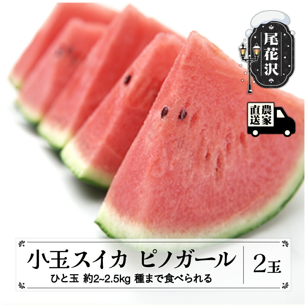【ふるさと納税】タネまで食べられる小玉スイカ ピノガール (約2~2.5kg)×2玉 7月中旬〜8月上旬頃発送 尾花沢産スイカ 令和7年産 2025年産 観光物産 kb-supgx2 すいか 西瓜 送料無料 観光物産 山形県 尾花沢市※沖縄・離島への配送不可のサムネイル