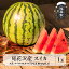 【ふるさと納税】先行予約 尾花沢産スイカ スーパー6Lサイズ 約12kg以上×1玉 7月下旬~8月中旬頃発送 令和6年産 2024年産 尾花沢スイカ すいか 西瓜 送料無料 観光物産※沖縄・離島への配送不可 13,000円