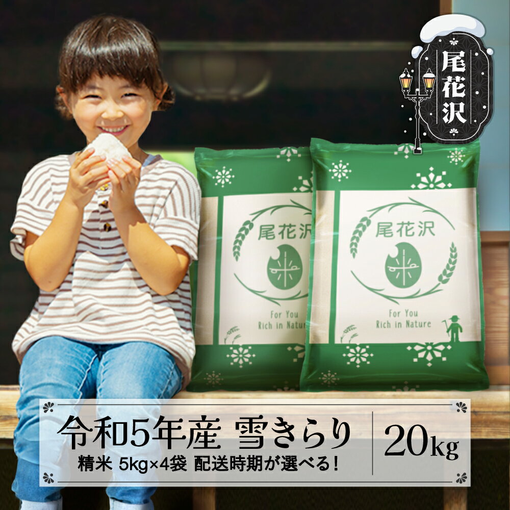 【ふるさと納税】米 新米 20kg 5kg×4 雪きらり 精米 令和5年産 2023年産 山形県 尾花沢市産 送料無料※2023年11月上旬～2024年3月下旬頃に順次発送予定　※着日指定不可のサムネイル