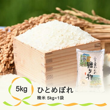 【ふるさと納税】米 5kg 5kg×1 ひとめぼれ 精米 令和3年産 2021年産 山形県尾花沢産 生産者応援企画　102P2