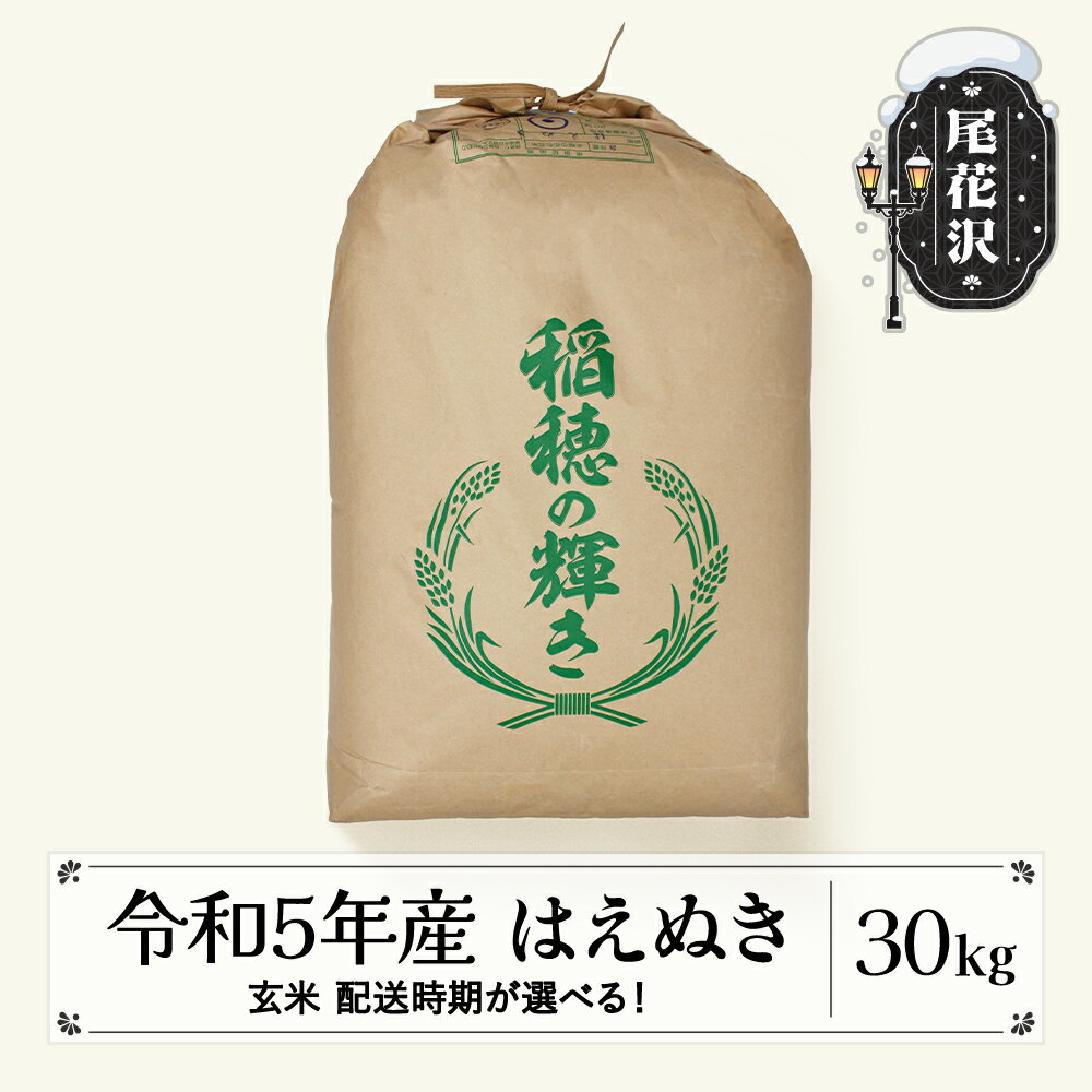 【ふるさと納税】 米 玄米 30kg はえぬき 令和5年産 2023年産 山形県産 尾花沢市産 送料無料※着日指定...