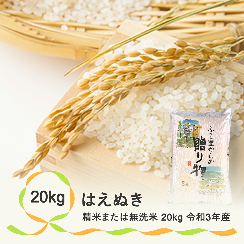 【ふるさと納税】米 精米 無洗米 20kg 5kg×4袋 はえぬき 令和3年産 山形県産 送料無料※沖縄・離島への配送不可