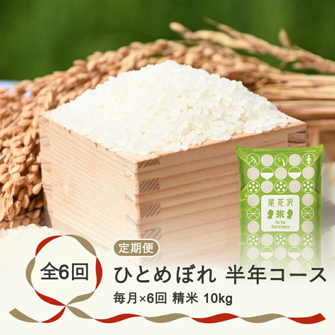 【ふるさと納税】 米 ひとめぼれ 毎月定期便 半年コース 10kg 5kg×2 精米 令和4年産 2022年産 山形県尾花沢市産 送料無料※着日指定送不可※沖縄・離島への配送不可