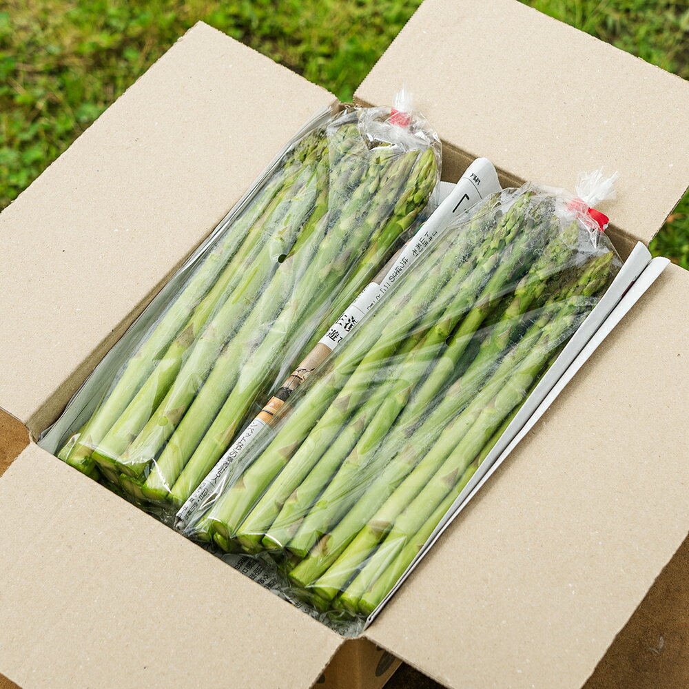 【ふるさと納税】先行受付 数量限定 訳あり なたぎり アスパラ 1kg 5月中旬〜発送 令和7年産 2025年産 グリーンアスパラガス アスパラガス 春アスパラ 春 朝採り 採れたて 新鮮 旬 野菜 冷蔵 クール クール便 山形 山形県 尾花沢 尾花沢市 農家直送 産地直送 in-vgafx1