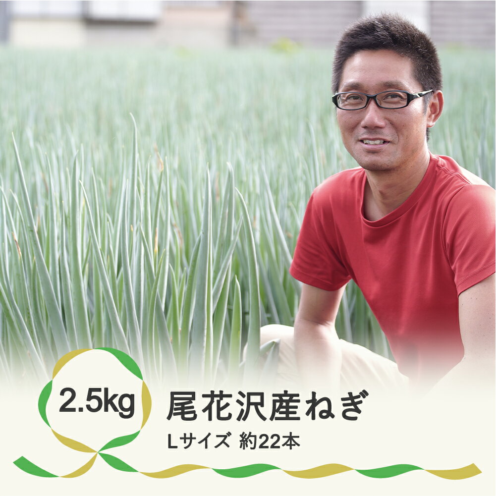 【ふるさと納税】尾花沢産ねぎ Lサイズ 2.5kg （約22本）