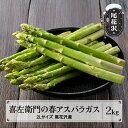 【ふるさと納税】喜左衛門 アスパラガス 2Lサイズ 2kg 極太 5月上旬~発送 山形県 尾花沢産 アスパラ グリーンアスパラガス 野菜 令和8年産 2026年産 送料無料 産地直送 取り寄せ kz-vga2x2※離島への配送不可