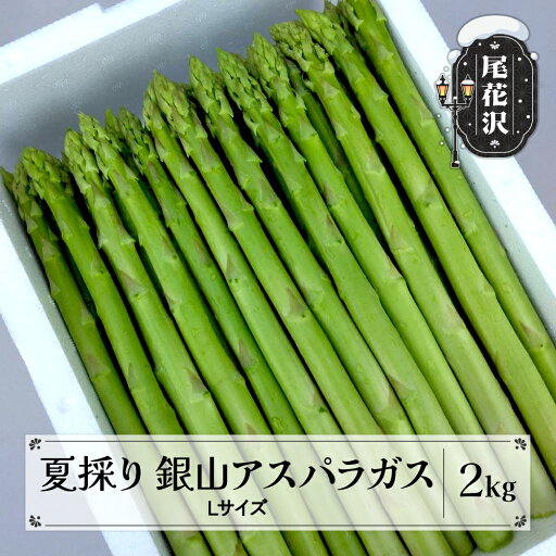 【ふるさと納税】夏採り 銀山アスパラガス Lサイズ 2kg 7月上旬~順次発送 2025年産 令和7年産 グリーンアスパラ 山形県尾花沢市産 nk-vga1n2離島への配送不可 【ふるさと納税】夏採り 銀山アスパラガス Lサイズ 2kg 7月上旬~順次発送 2025年産 令和7年産 グリーンアスパラ 山形県尾花沢市産 nk-vga1n2離島への配送不可