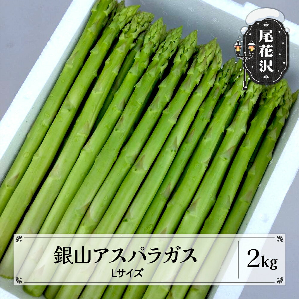 【ふるさと納税】銀山アスパラガス Lサイズ 2kg 令和6年産 2024年産 グリーンアスパラガス 春 野菜 青...