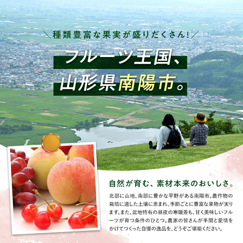 【ふるさと納税】 【令和6年産先行予約】 高級ぶどう 種なし品種 5房詰合せ 《令和6年9月中旬～発送》 『漆山果樹園』 山形県 南陽市 [662]