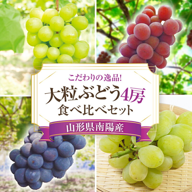 【令和6年産先行予約】 大粒ぶどう4種食べ比べセット おまかせ4房《令和6年9月上旬～発送》 『うえ木ぶどう園』 ぶどう 果物 フルーツ デザート 食べ比べ 山形県 南陽市 [675]