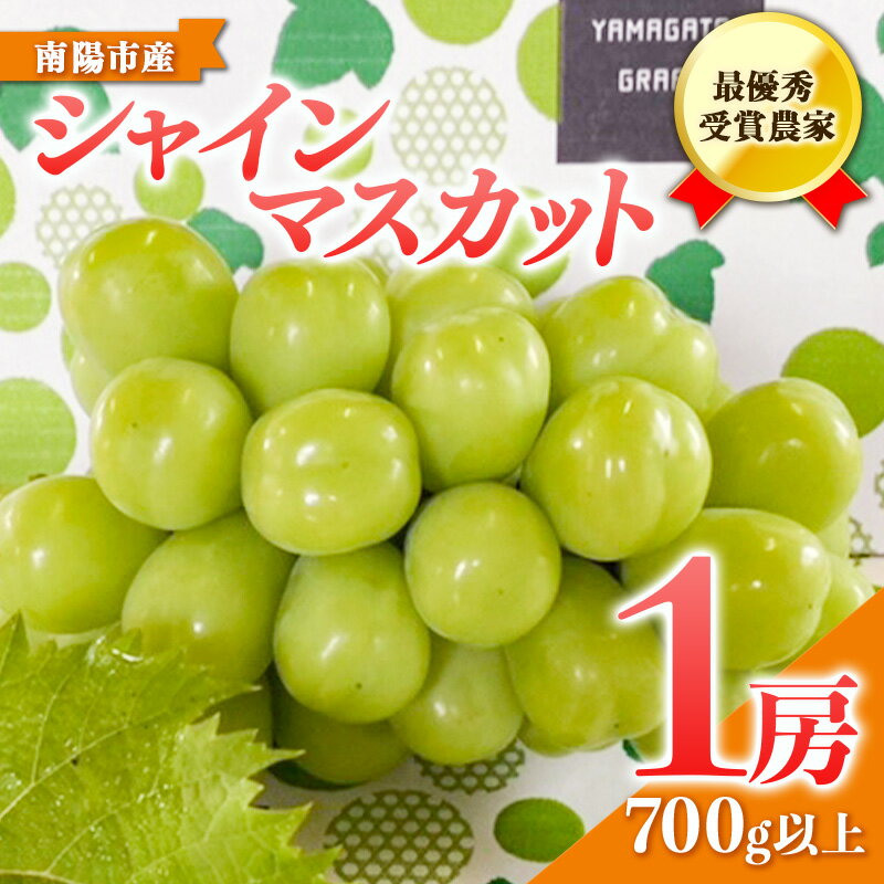 [令和6年産先行予約] [山形県ぶどう品評会 最優秀賞受賞農家] シャインマスカット 1房 (700g以上 秀以上) [令和6年9月中旬〜発送] 『青木農園』 マスカット ぶどう 種なし 果物 フルーツ デザート 山形県 南陽市 [634]