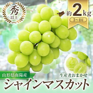 【ふるさと納税】 【令和6年産先行予約】 シャインマスカット 約2kg (3～4房 秀) 《令和6年9月中旬～発送》 『生産者おまかせ』 マスカット ぶどう 種なし 果物 フルーツ デザート 山形県 南陽市 [635]