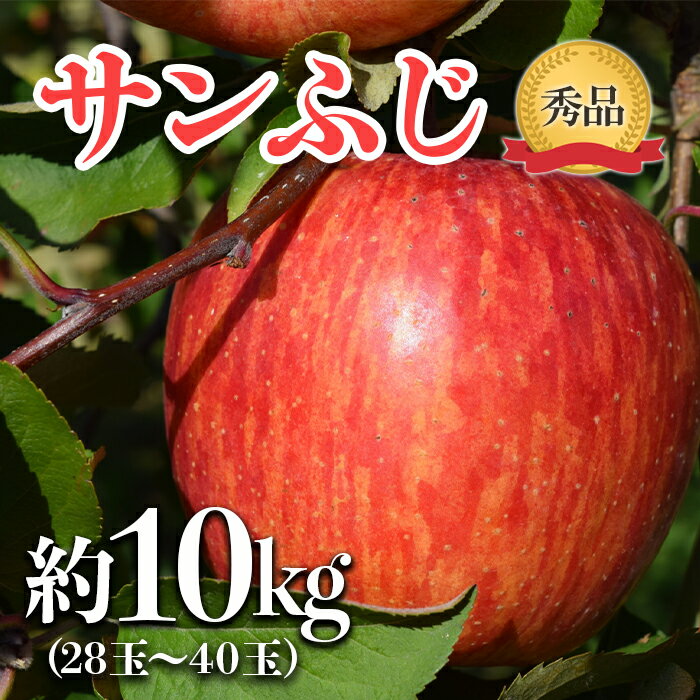 【ふるさと納税】【令和6年産先行予約】 JA りんご 「サンふじ」 約10kg (28～40玉 秀) 《令和6年11月中旬～12月中旬発送》 『JA山形おきたま』 山形県 南陽市 720