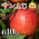 【ふるさと納税】【令和6年産先行予約】 JA りんご 「サン