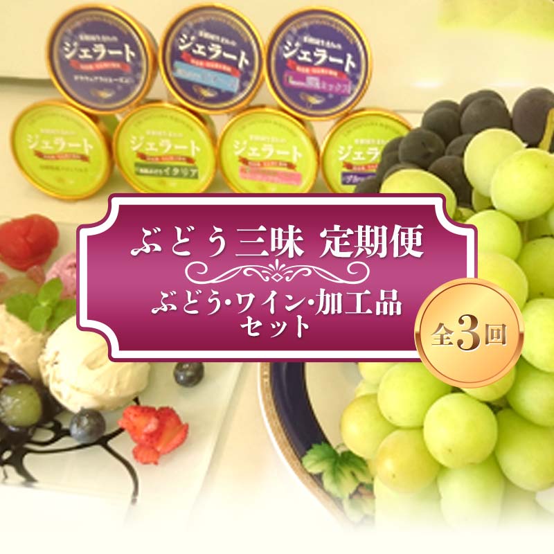 [令和6年産先行予約] ぶどう三昧 定期便 〜ぶどう・ワイン・加工品セット〜 [令和6年7月〜発送] 『漆山果樹園』 山形県 南陽市 [393]