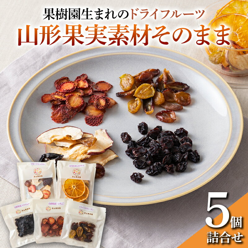 【ふるさと納税】 果樹園生まれの ドライフルーツ 「山形果実素材そのまま」 5個詰合せ 『漆山果樹園』 山形県 南陽市 [494]のサムネイル