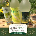 【ふるさと納税】「東洋のアルカディア」南陽産白ワイン飲み比べセット 各720ml 0310