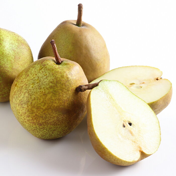 【ふるさと納税】 【令和7年産先行予約】 ラ・フランス 約3kg (10～11玉 特秀 2～3L) 《令和7年11月頃～発送》 『生産者 鈴木 喜代美』 ラフランス 西洋梨 洋なし 果物 フルーツ デザート 山形県 南陽市 [571]