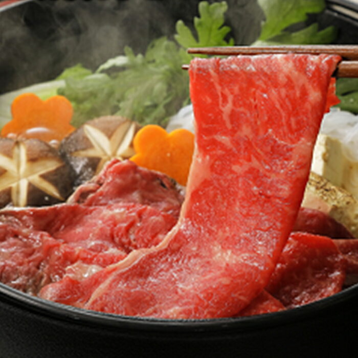 【ふるさと納税】 近江牛 ロース しゃぶしゃぶ用 600g 牛肉 美味しい ブランド牛 高級 人気 国産 楽天 寄付 返礼品 お歳暮 ギフト プレゼント お祝い 贈り物 ふるさと納税 近江 東近江 D-E10 本多商店