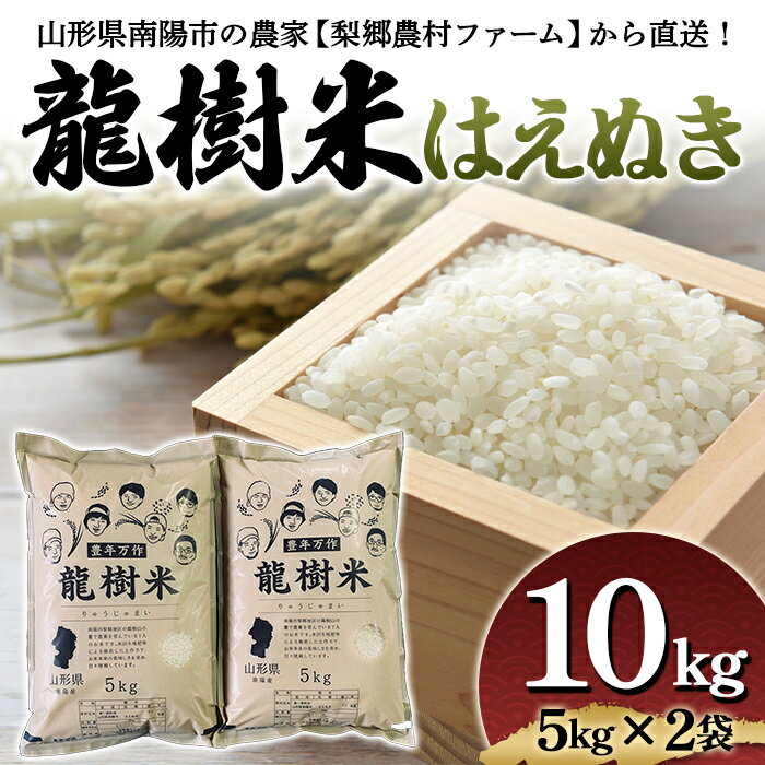 [梨郷農村ファーム] 令和5年南陽市産 龍樹米はえぬき10kg(5kg×2袋) 835