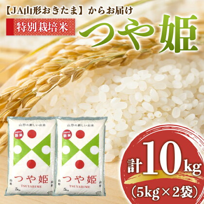 JA 特別栽培米 つや姫 10kg (5kg×2袋) 『JA山形おきたま』 米 精米 山形県 南陽市 [639]