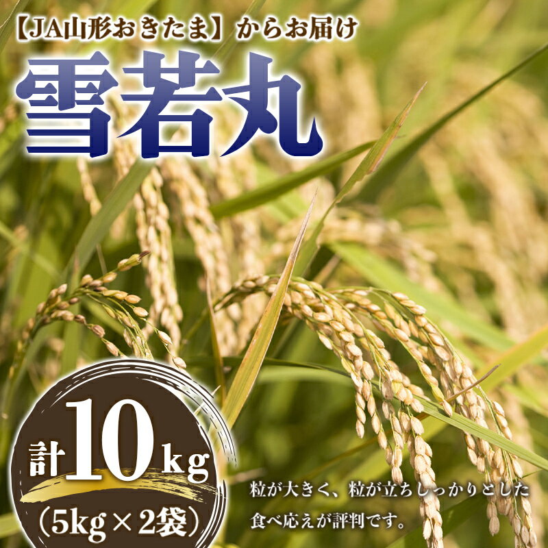[令和7年産] JA 雪若丸 10kg (5kg×2袋) 『JA山形おきたま』 山形県産 米 精米 山形県 南陽市 [843]
