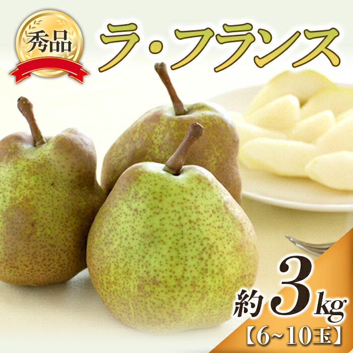 ڤդ뤵Ǽǡۡ7ǯͽ 顦ե 3kg (610 ) 7ǯ10ܡ11ȯ إաɥƥॺ ե  Τʤ ʪ ե롼 ǥ  ۻ [848-R7]