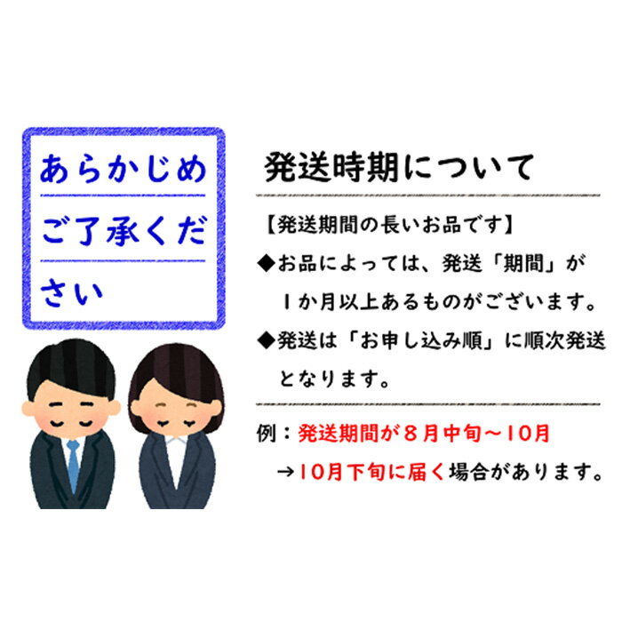 【ふるさと納税】 【令和6年産先行予約】 洋梨 ラ・フランス 約5kg (10～18玉 秀) 《令和6年10月下旬～11月下旬発送》 『フードシステムズ』 山形県 南陽市 [849-R6]