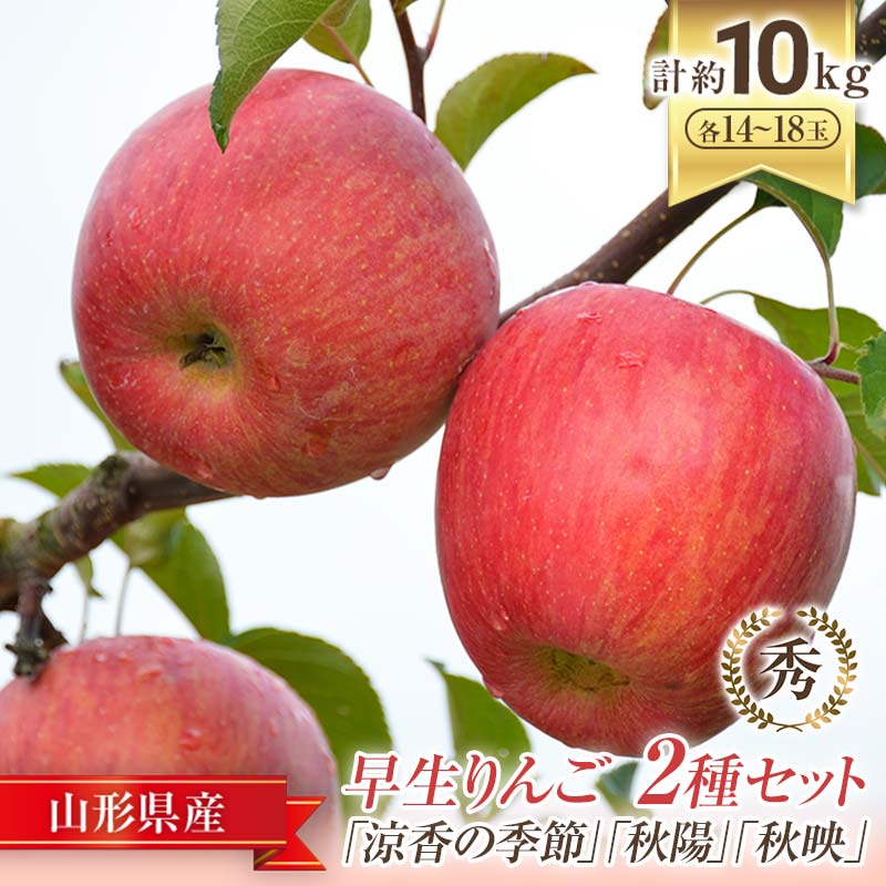 【ふるさと納税】【令和7年産先行予約】JA 早生りんご 2種セット 「涼香の季節・秋陽・秋映 等」 各約5kg 《令和7年9月下旬～10月中旬発送》 『JA山形おきたま』 林檎 リンゴ 果物 フルーツ 山形県 南陽市 [719]