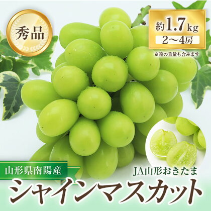 【令和6年産先行予約】 JA シャインマスカット 約1.7kg (2～4房 秀) 《令和6年9月下旬～発送》 『JA山形おきたま』 山形県 南陽市 [715]