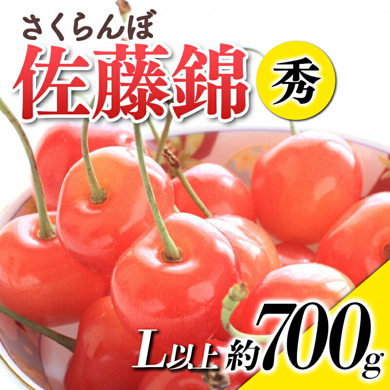 [令和6年産先行予約] さくらんぼ 「佐藤錦」 約700g (秀 L以上) バラ詰め [令和6年6月上旬〜発送] 『生産者おまかせ』 サクランボ 果物 フルーツ 産地直送 生産農家直送 山形県 南陽市 884