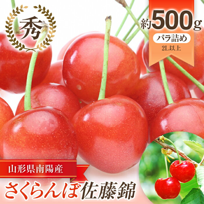 [令和6年産先行予約] さくらんぼ 「佐藤錦」 約500g (秀 2L以上) バラ詰め [令和6年6月上旬〜発送] 『生産者おまかせ』 サクランボ 果物 フルーツ 産地直送 生産農家直送 山形県 南陽市 [885]