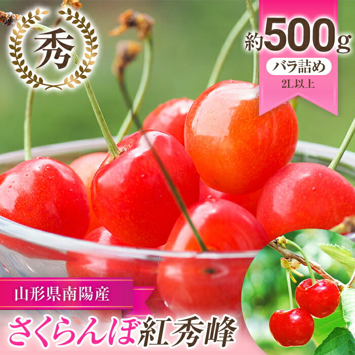 【令和6年産先行予約】 さくらんぼ 「紅秀峰」 約500g (秀 L以上) バラ詰め 《令和6年6月下旬～発送》 『生産者おまかせ』 サクランボ 果物 フルーツ 産地直送 生産農家直送 山形県 南陽市 [892]