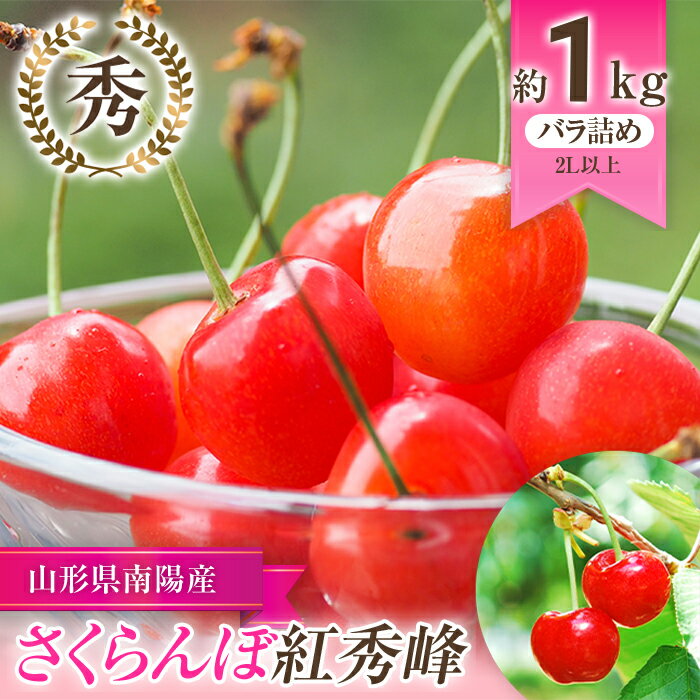 【令和6年産先行予約】 さくらんぼ 「紅秀峰」 約1kg (秀 2L以上) バラ詰め 《令和6年6月下旬～発送》 『生産者おまかせ』 サクランボ 果物 フルーツ 産地直送 生産農家直送 山形県 南陽市 [985]