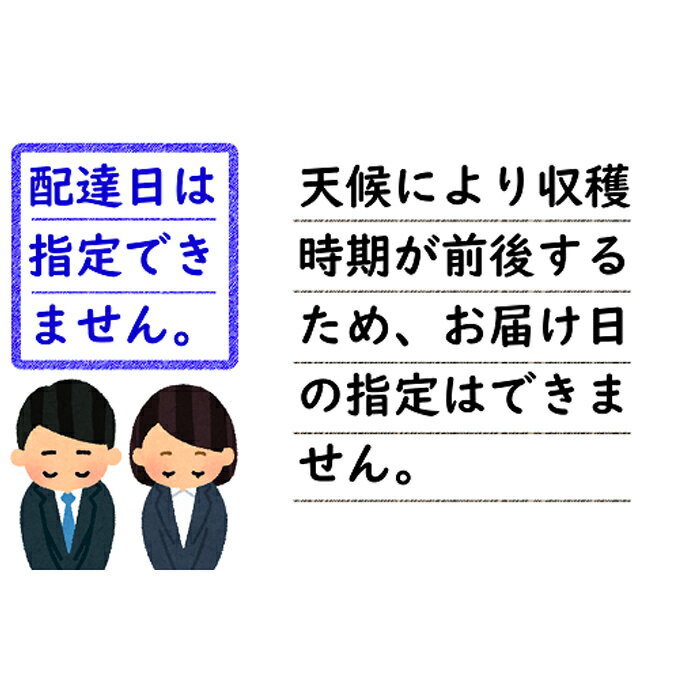 【ふるさと納税】 【令和6年産先行予約】 〈訳あり品 家庭用〉 さくらんぼ ｢佐藤錦｣ 約800g (200g×4パック Mサイズ) 《令和6年6月中旬～発送》 『田口農園』 サクランボ 生産農家直送 小分け 果物 フルーツ 山形県 南陽市 1691