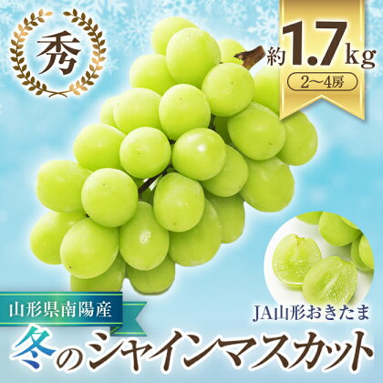 【令和6年産先行予約】 JA 冬のシャインマスカット 約1.7kg (2～4房 秀) 《令和6年12月中旬～下旬発送》 『JA山形おきたま』 山形県 南陽市 [821]