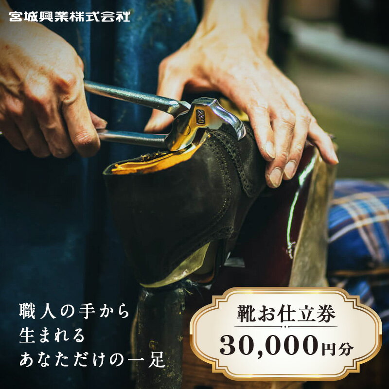 【ふるさと納税】 【宮城興業のオーダーメイド靴お仕立券30】 1枚 30,000円分 『宮城興業(株)』 革靴 くつ シューズ ファッション ビジネス カジュアル メンズ 紳士 山形県 南陽市 [522]