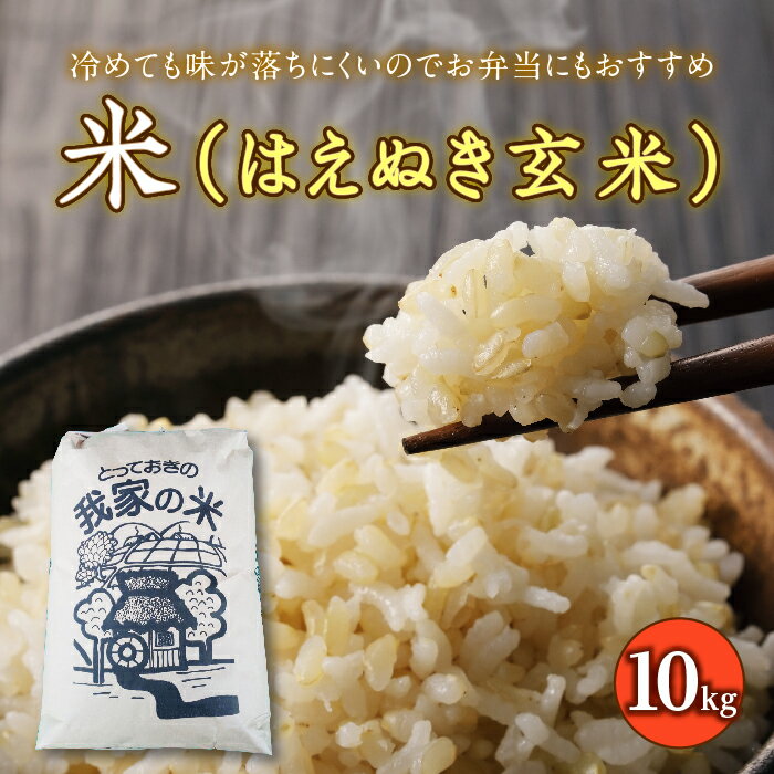 【ふるさと納税】令和5年産 はえぬき (玄米) 10kg 『田口農園』 山形県 南陽市 [1290]