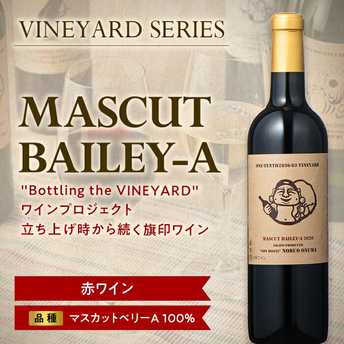 [南陽ワインプロジェクト]MASCUT BAILEY-A 1298