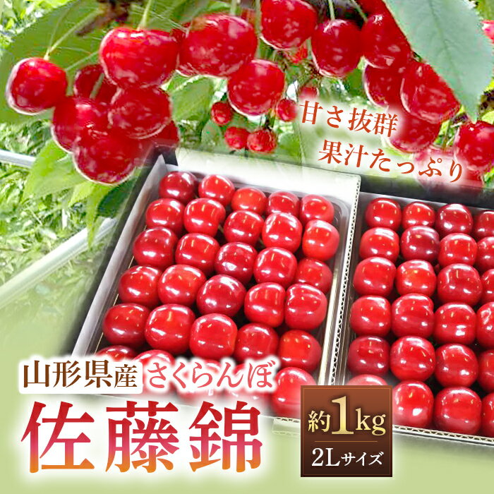 【令和6年産先行予約】 さくらんぼ ｢佐藤錦｣ 約1kg (秀 2L以上) パック詰め 《令和6年6月発送》 『田口農園』 サクランボ 果物 フルーツ 産地直送 生産農家直送 山形県 南陽市 1396