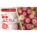 【ふるさと納税】 〈訳あり ちょっと規格外〉 雪んこ 完熟ふじりんご 約10kg 《令和8年1月上旬〜発送》 【全国りんご選手権 銀賞】 『船中農園』 山形県 ...