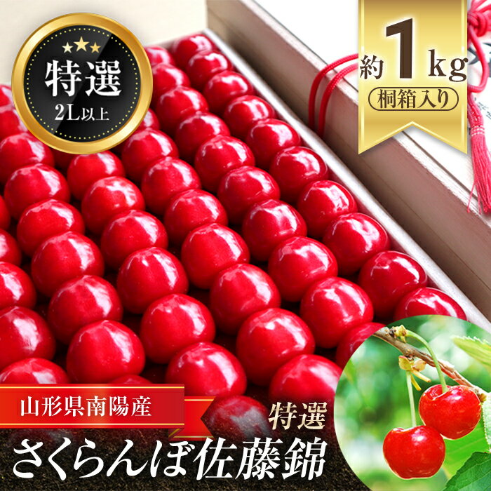 【ふるさと納税】 【令和6年産先行予約】【農林水産大臣賞受賞農家】さくらんぼ 佐藤錦 約1kg (特選 2L以上)《令和6年6月下旬～発送》 『長谷部農園』 山形県 南陽市 [1009]